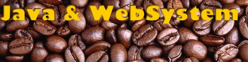 Java & Web System